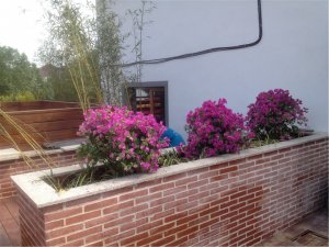 旺山精品酒店，美式屋頂花園效果圖